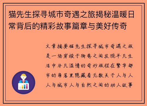猫先生探寻城市奇遇之旅揭秘温暖日常背后的精彩故事篇章与美好传奇